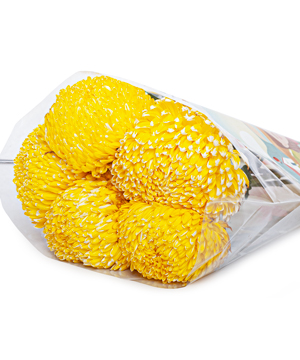 Cúc mẫu đơn vàng ĐL (5 cành)