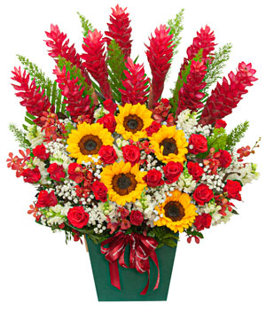 Tháng năm rực rỡ