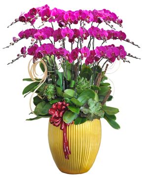 Trường An Phát Hỷ