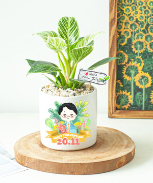 Happy Teacher's Day 1