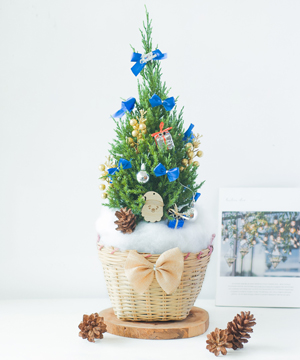 Sơn tùng Noel 40cm mẫu 5