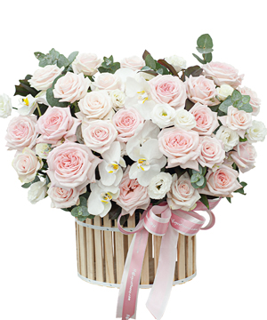 Rosa Grace