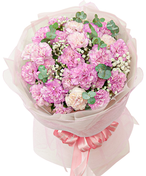 Bó hoa cẩm chướng tím