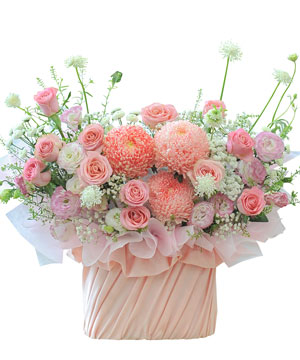 Bloom in light