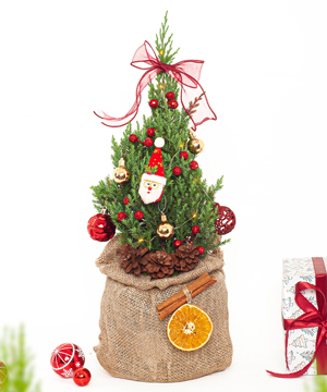 Thông noel 40cm mẫu 10