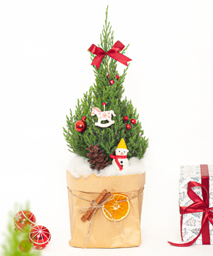 Thông noel 40cm mẫu 11