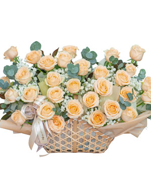 Only rose 32