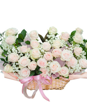 Only rose 33