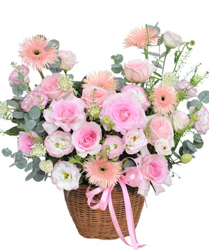 Blush Harmony