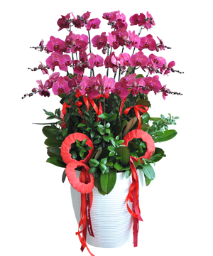 Hoa Đường Vạn Phúc