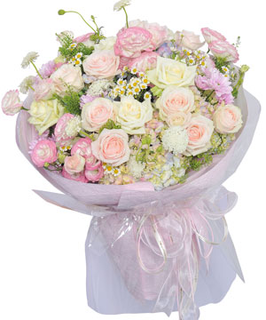 Đóa hoa dịu dàng