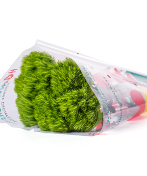 Green wicky (10 cành)