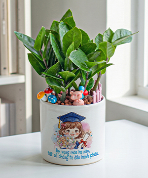 Chibi tốt nghiệp 2