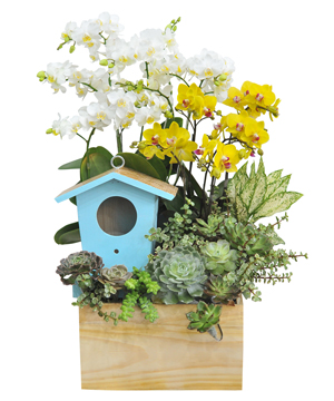 Birdhouse Garden 01