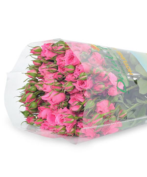 Hồng chùm Sophia (10 cành)