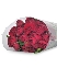 Hồng chùm tròn đỏ Roselle (10 cành)