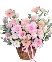 Blush Harmony