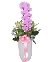 Premium orchid 01