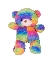 Rainbown Teddy Bear