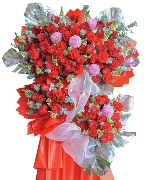 Phúc lộc khai hoa