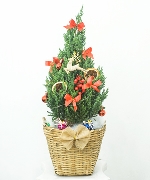 Cây thông size S mẫu 9