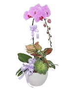 Chạm Nhẹ Yêu Thương