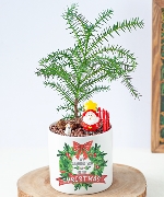 Tùng bách tán giáng sinh