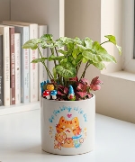 The cat