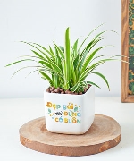 Đẹp gái thì đừng có buồn