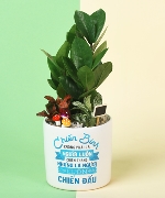 Luôn Chiến Đấu